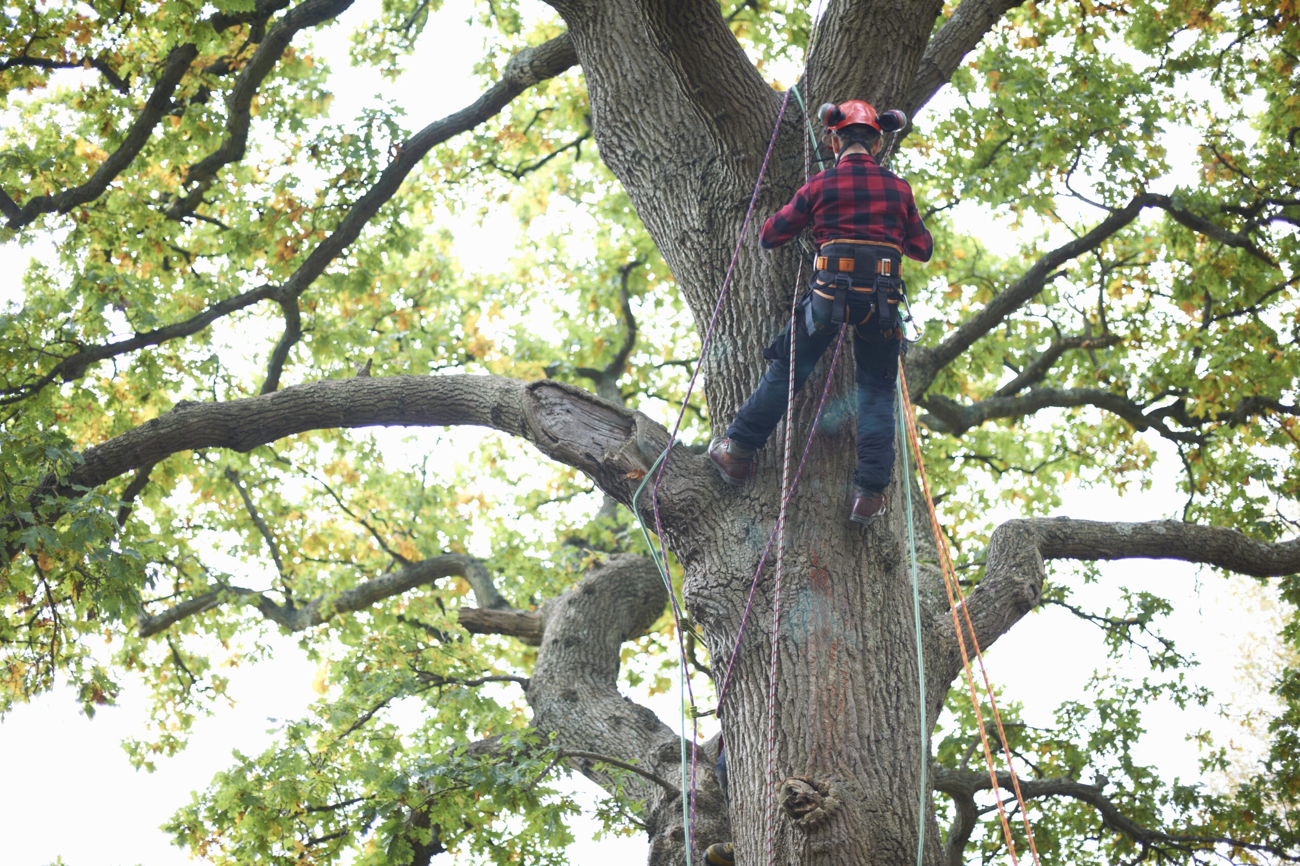 summer roof prep, summer roof maintenance, summer weather damage in Edgewood