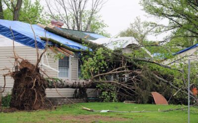 Why Roof Tarping is Crucial for Chardon Homeowners