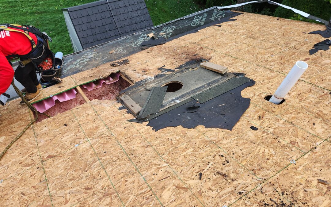 3 Reasons Why a Buyer Wants the Seller to Pay for a New Roof