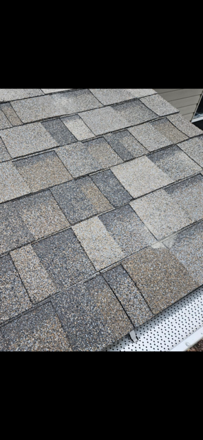 How Can I Repair My Damaged Shingles