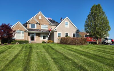 What are Designer Shingles? (Are They Worth the Money)