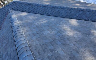 7 Things to Do If Your Roof is Leaking