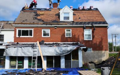 4 Reasons You Need a Roof Maintenance Program After Your Replacement