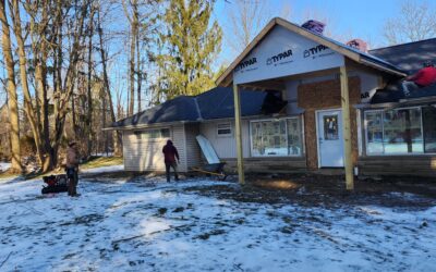 Does Moss on Your Roof Mean It Needs to Be Replaced?