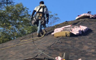Different Roof Types: Pros and Cons