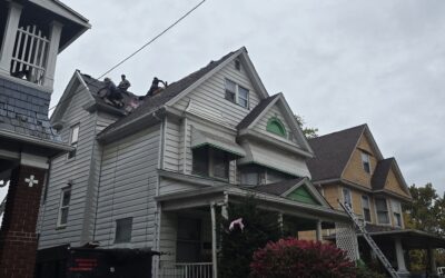 roof layer
