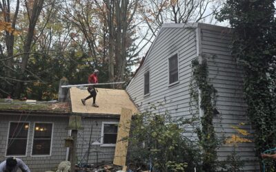 fascia roofing