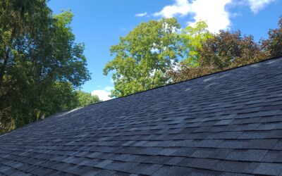 How to Choose the Best Roof Color for Your Home