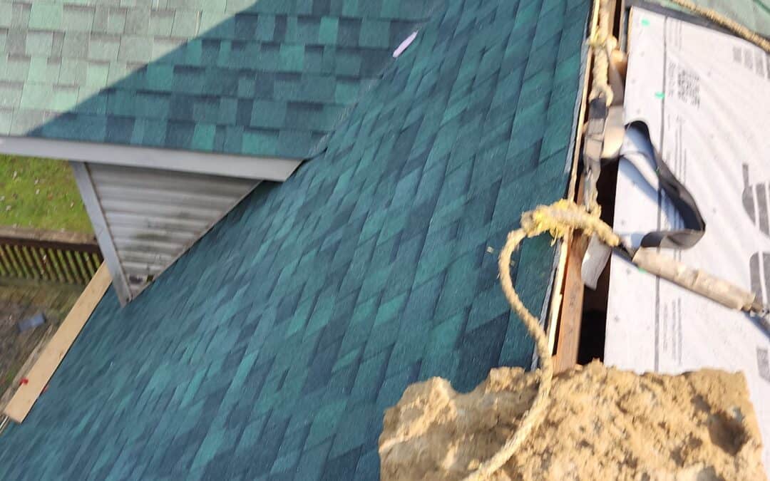 How to Keep Squirrels Off Your Roof and Out of Your Attic in Northeast Ohio