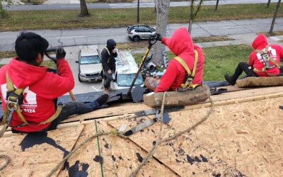 roof siding