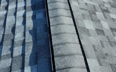 siding contractors in my area