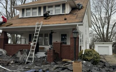 The History of Insulation