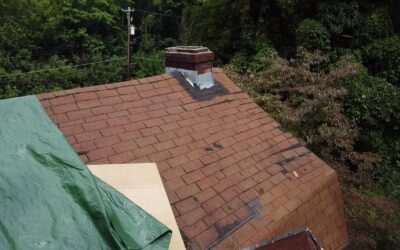 Boards That Enclose the Underside of Sloped or Flat Roof Extensions: Everything You Need to Know