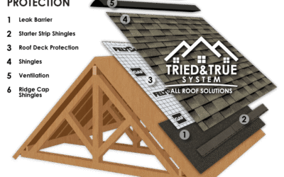 What Is the Purpose of a Roof?