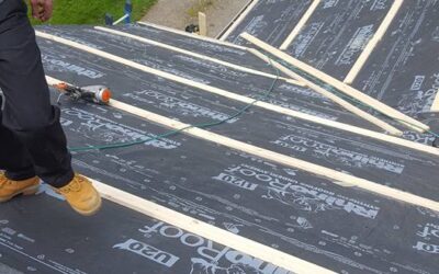 The Pros And Cons Of Vinly Siding