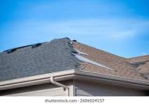 Roof Over Cost