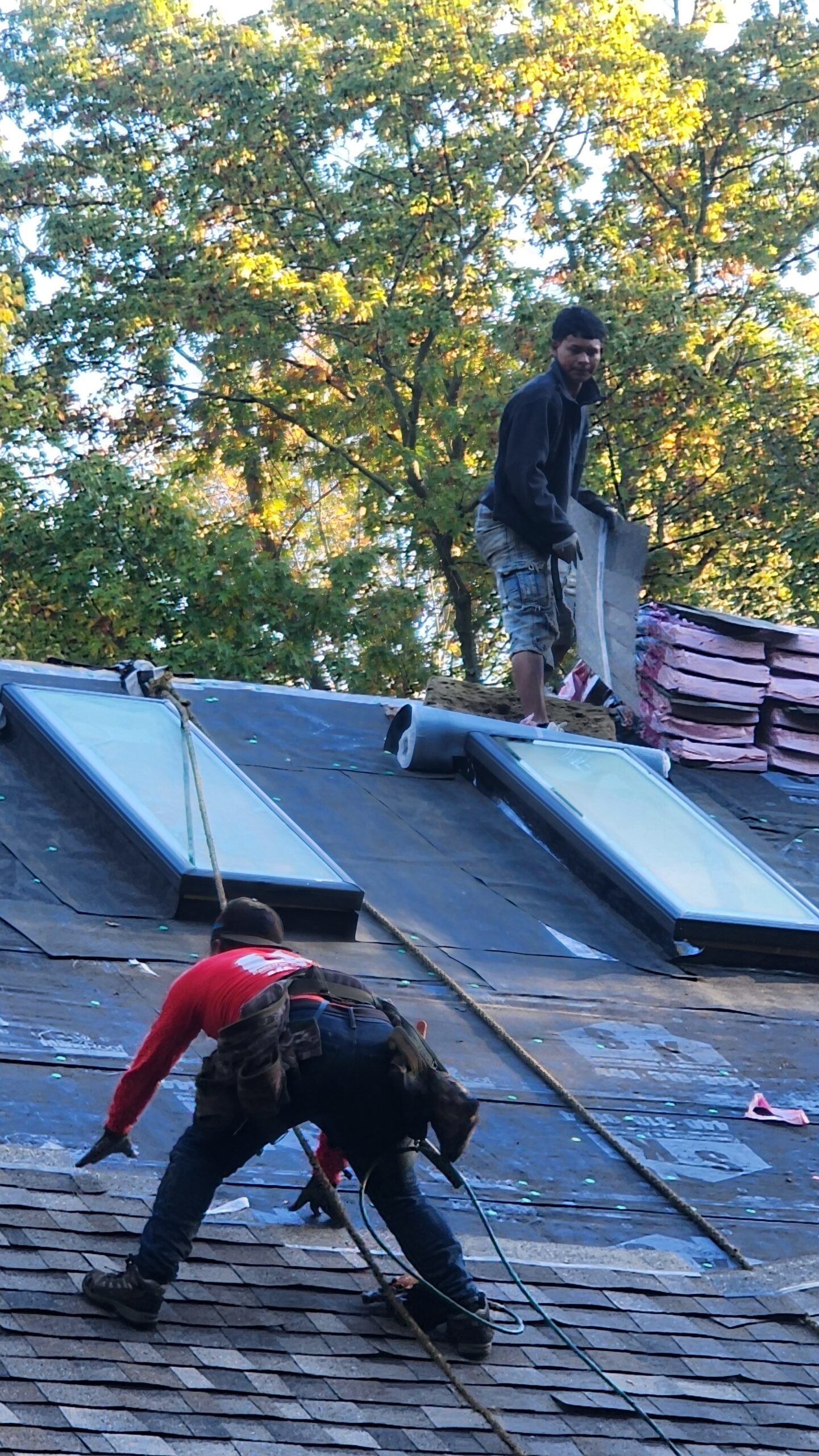 Roof Insurance In Plain Township,Oh