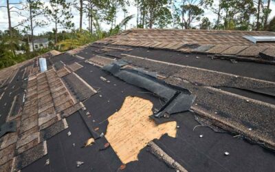 Wind Ratings Explained: How Wind-Resistant Is Your Roof?