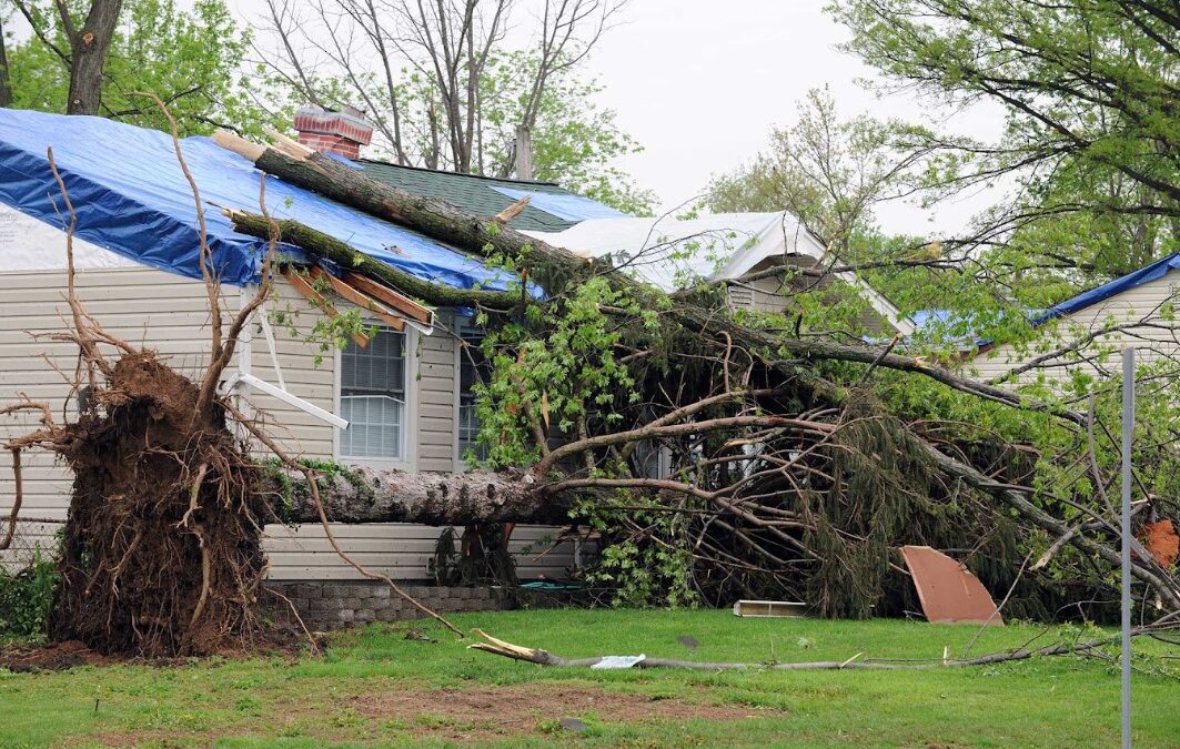 Tree Fell on Your Roof? What Northeast Ohio Homeowners Should Do Next