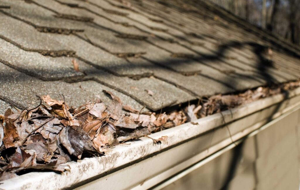 clogged gutters