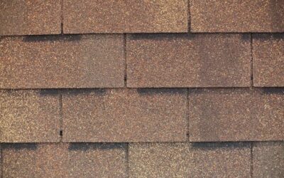 The Biggest Dangers To Your Roof This Summer